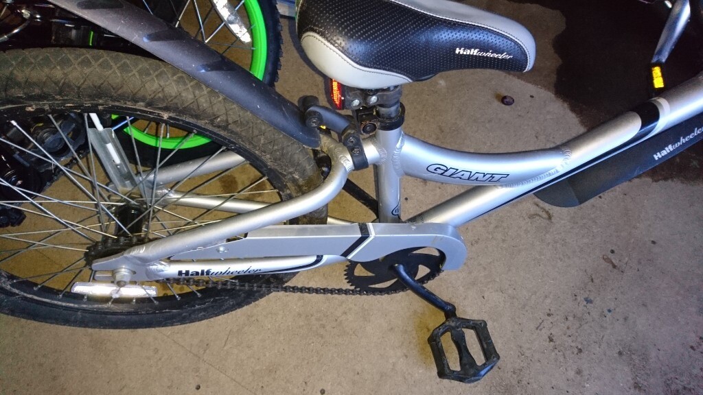 giant tag along bike